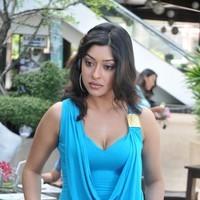 Payal Ghosh New Hot and Spicy Gallery | Picture 90604